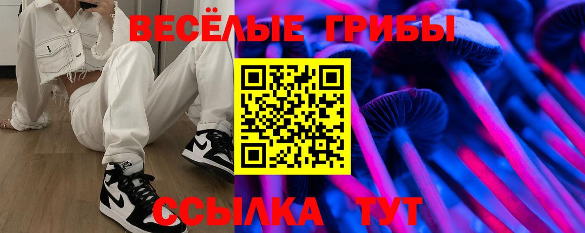 Галлюциногенные грибы прущие грибы  Вход с VPN  наркошоп  Ивантеевка 